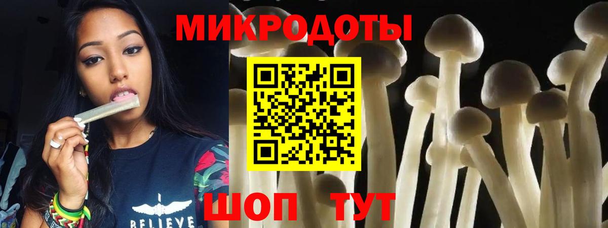 Подольск  Псилоцибиновые грибы мицелий  Вход с VPN 